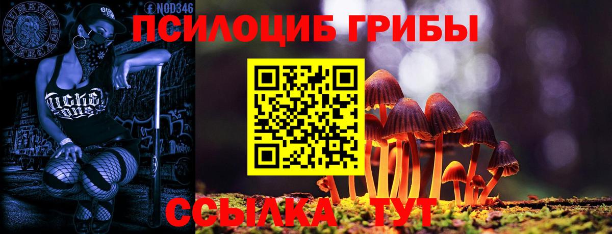 Казань  где продают   Вход с VPN  Псилоцибиновые грибы мицелий 